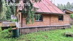 Добротный крепкий дом в лесу на хуторе под Старым Изборском