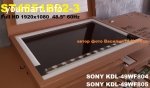 матрица ST4851B02-3 /  NS7S490HNO11  для SONY KDL-49WF805  /  804