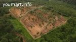 Прилесные участки с деревьями в новом КП «Радование-Парк»
