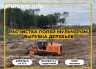 Расчистка участка мульчером от 1 Га, спил деревьев